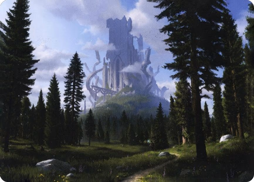 Forest (61/81) Art Card