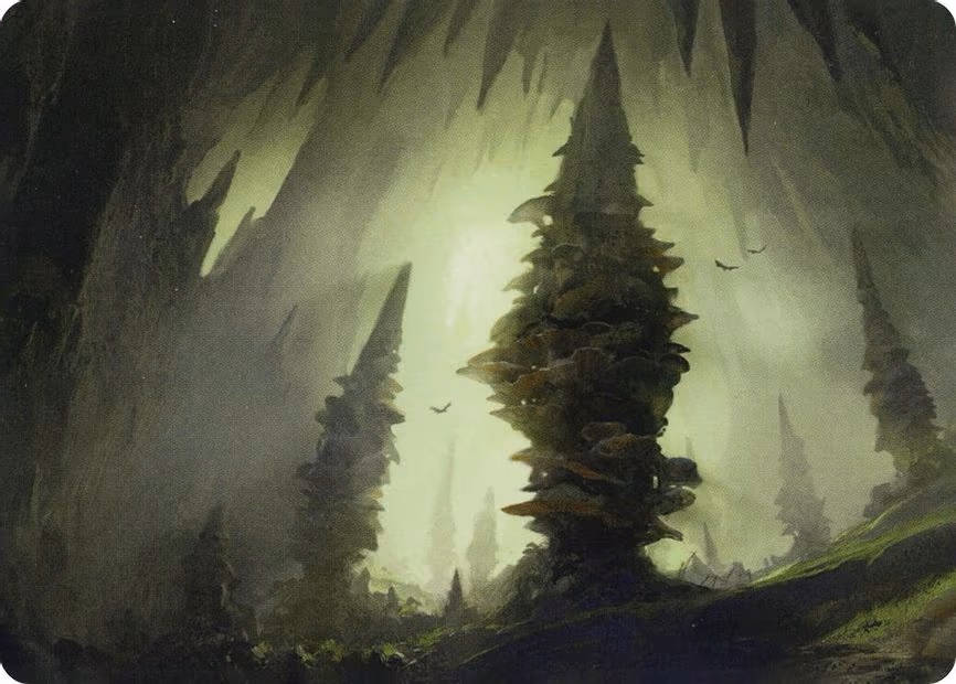 Forest (55/81) Art Card