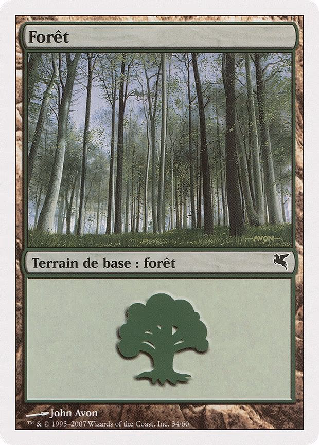 Forest (French) - "Foret"
