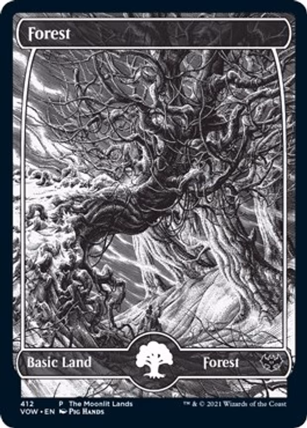 Forest (Moonlit Land) - L (412)