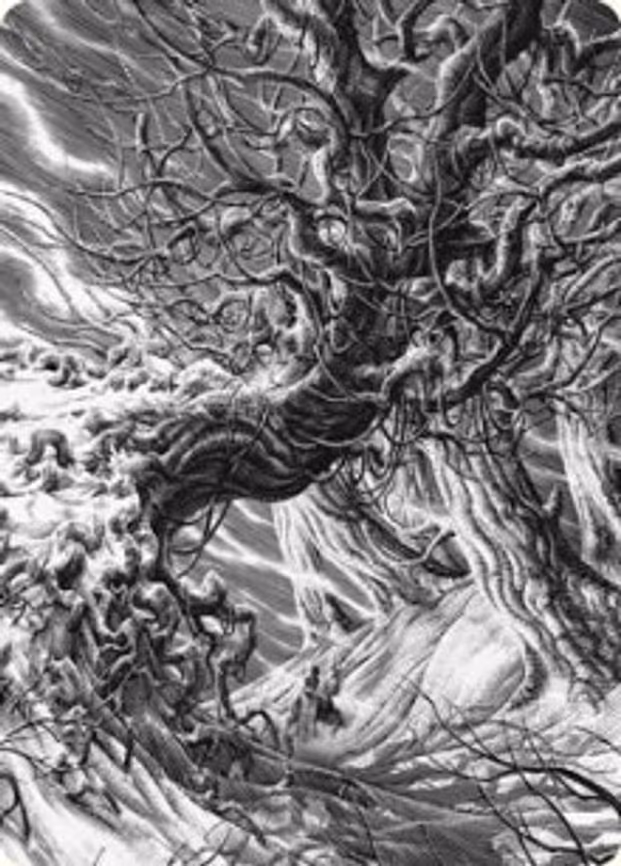 Forest Art Card
