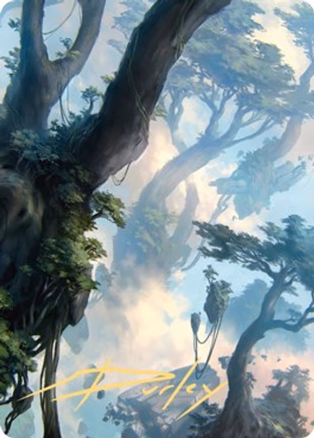 Forest Art Card