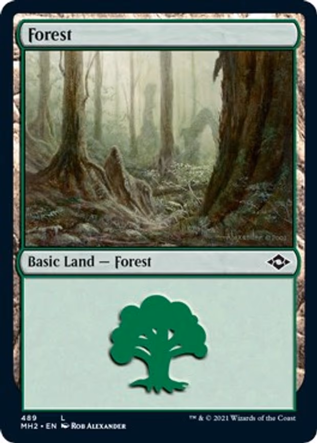 Forest - L (489)