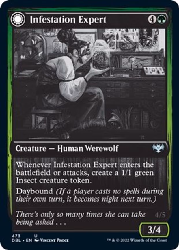 Infestation Expert