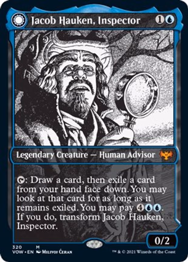 Jacob Hauken, Inspector