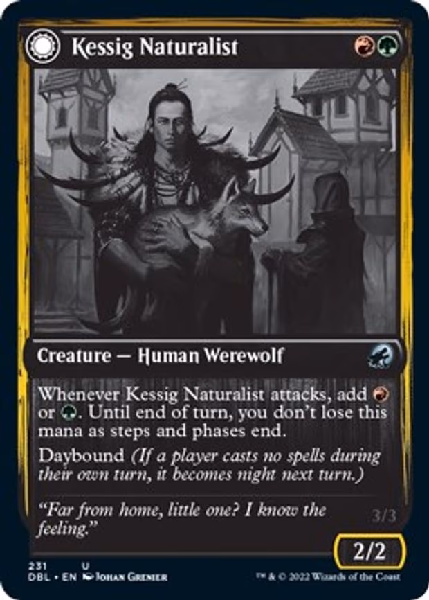 Kessig Naturalist - U (231)