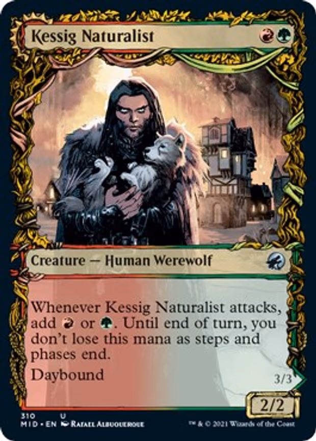 Kessig Naturalist - U (310)