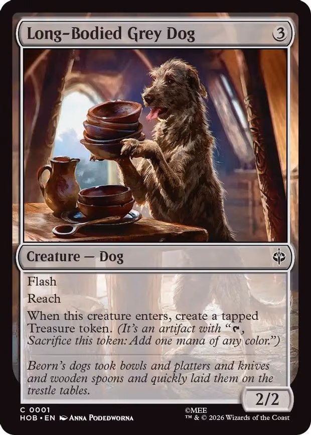 Long-Bodied Grey Dog - C (1)