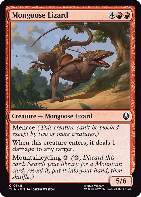 Mongoose Lizard