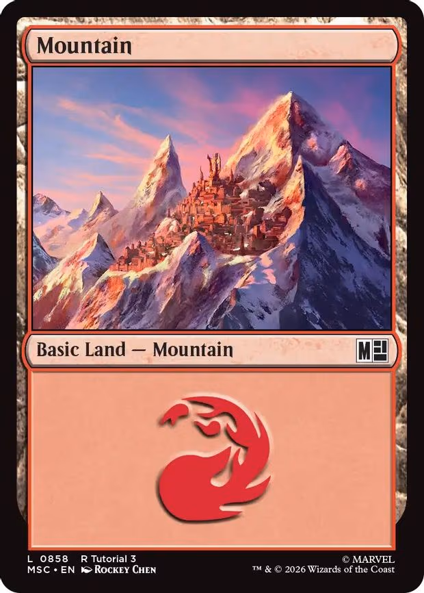 Mountain - L (858)