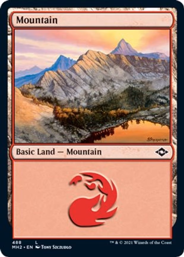 Mountain - L (488)