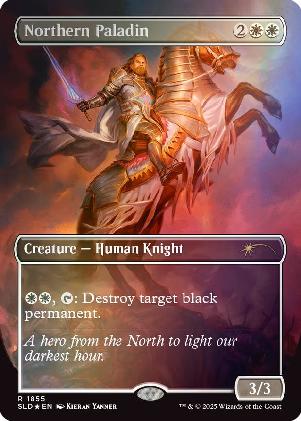 Northern Paladin
