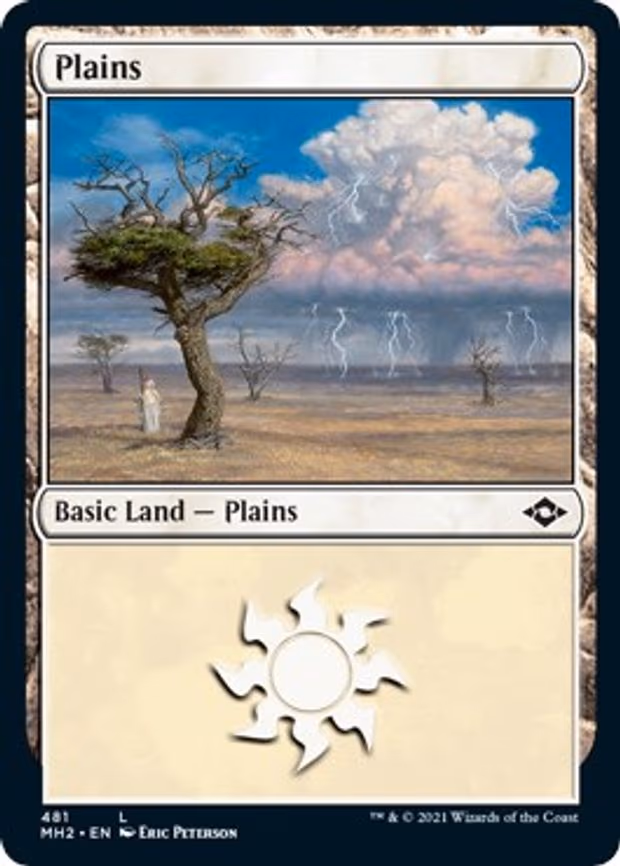 Plains - L (481)
