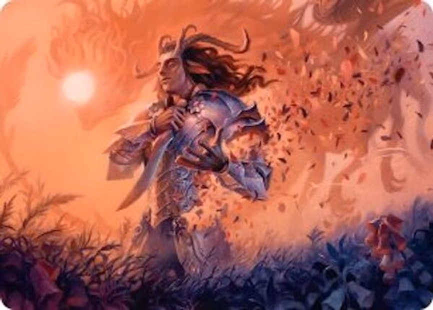 Rhys, the Evermore Art Card