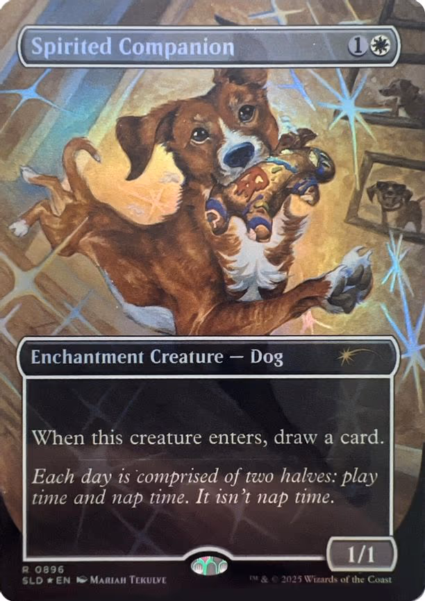 Spirited Companion