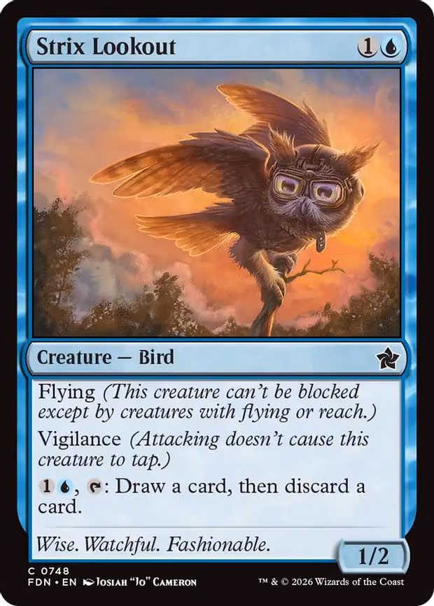 Strix Lookout - C (748)