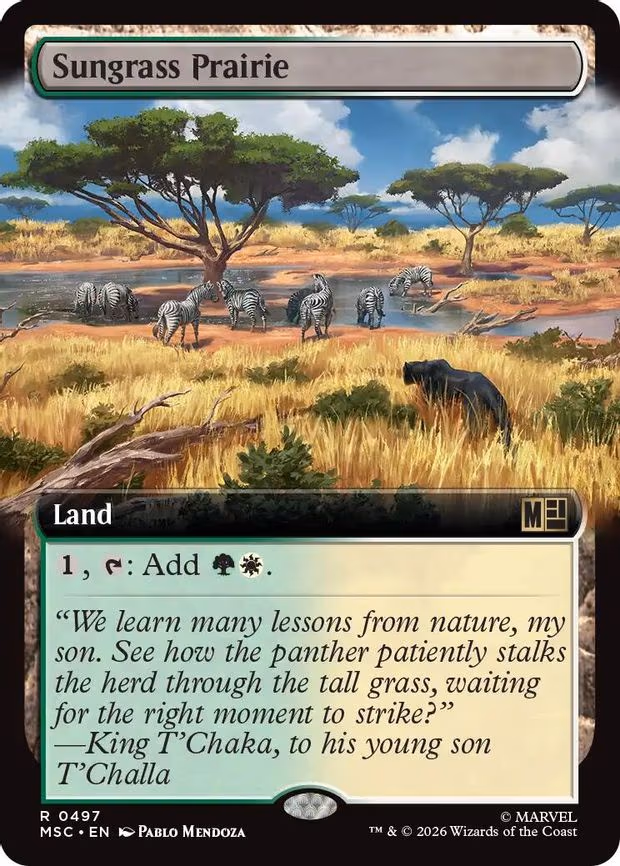 Sungrass Prairie - R (497)