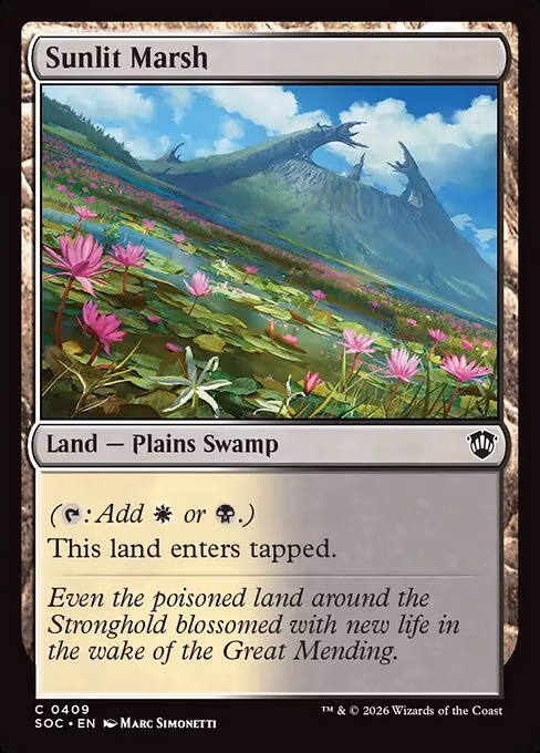 Sunlit Marsh