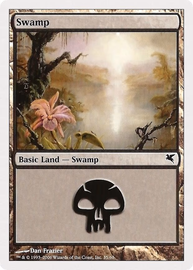 Swamp - L (35)