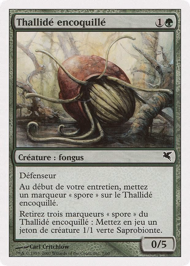 Thallid Shell-Dweller (French) - "Thallide encoquille"