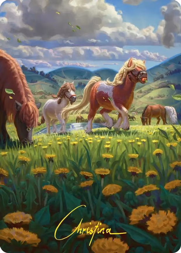 Troop of Ponies Art Card - S (1)