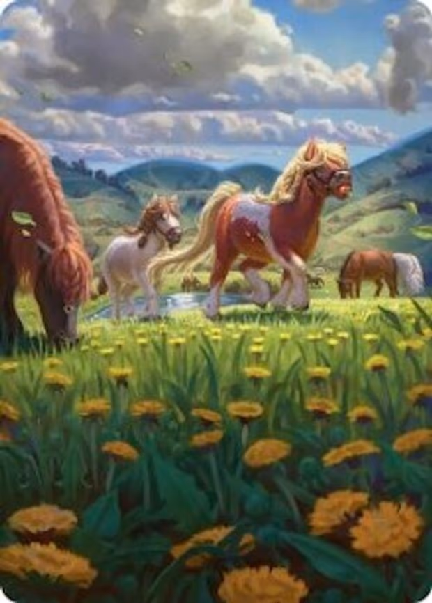 Troop of Ponies Art Card - S (1)