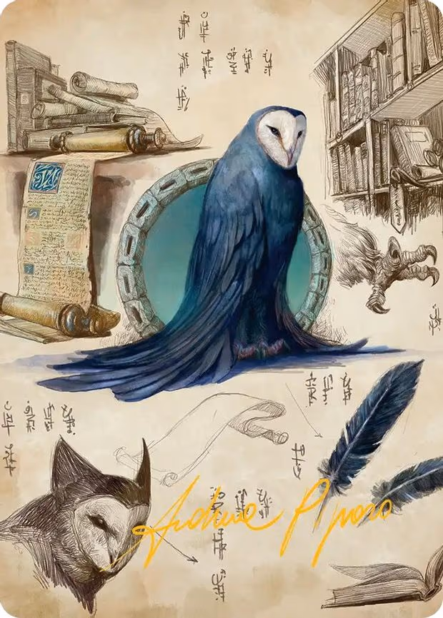 Wan Shi Tong, Librarian Art Card