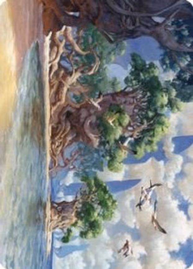 Yavimaya Coast Art Card