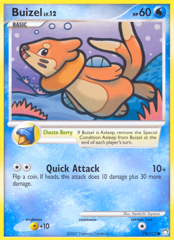 Buizel
