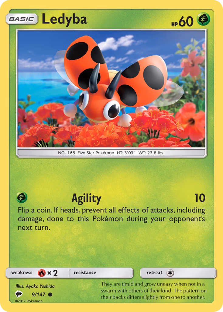Ledyba