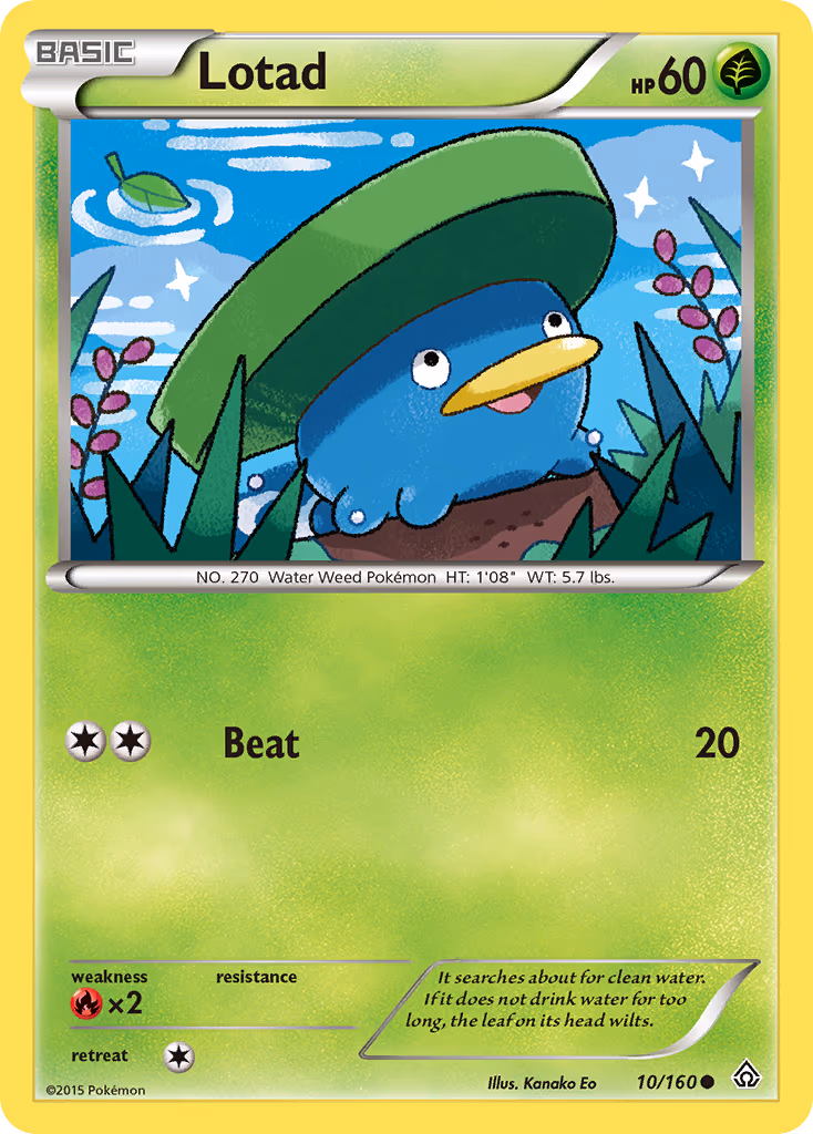 Lotad