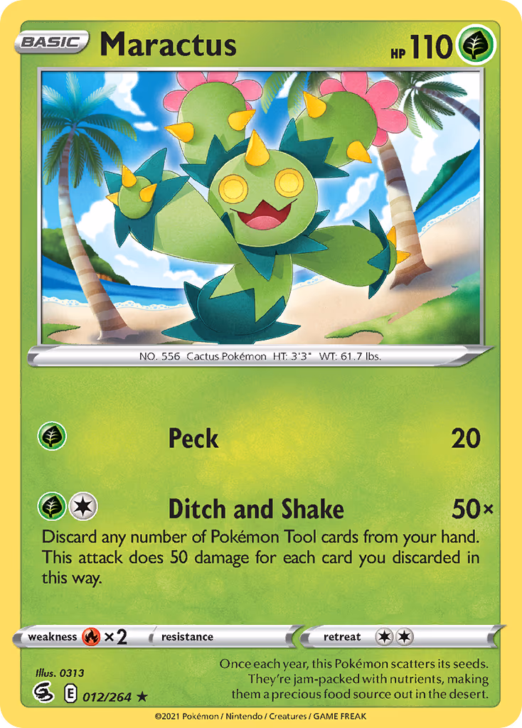 Maractus