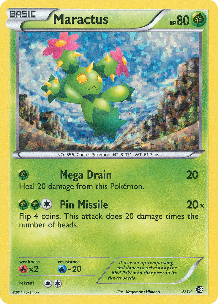 Maractus