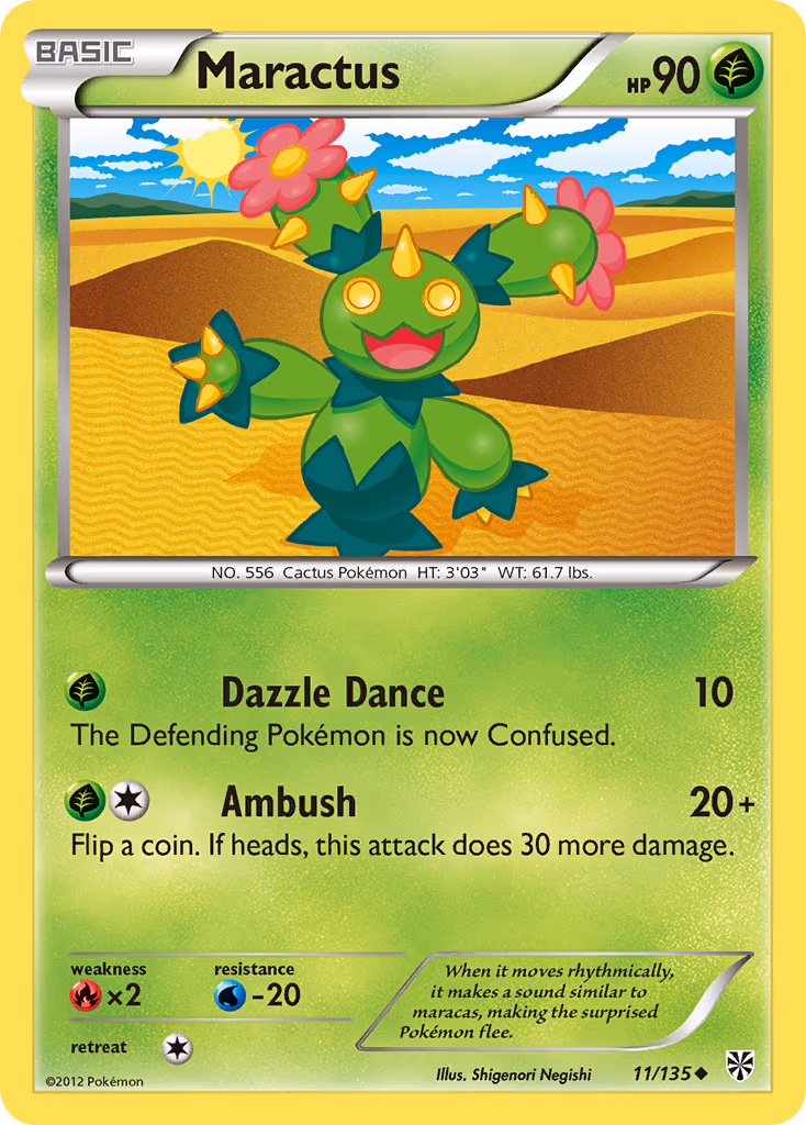 Maractus