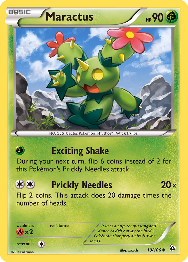Maractus