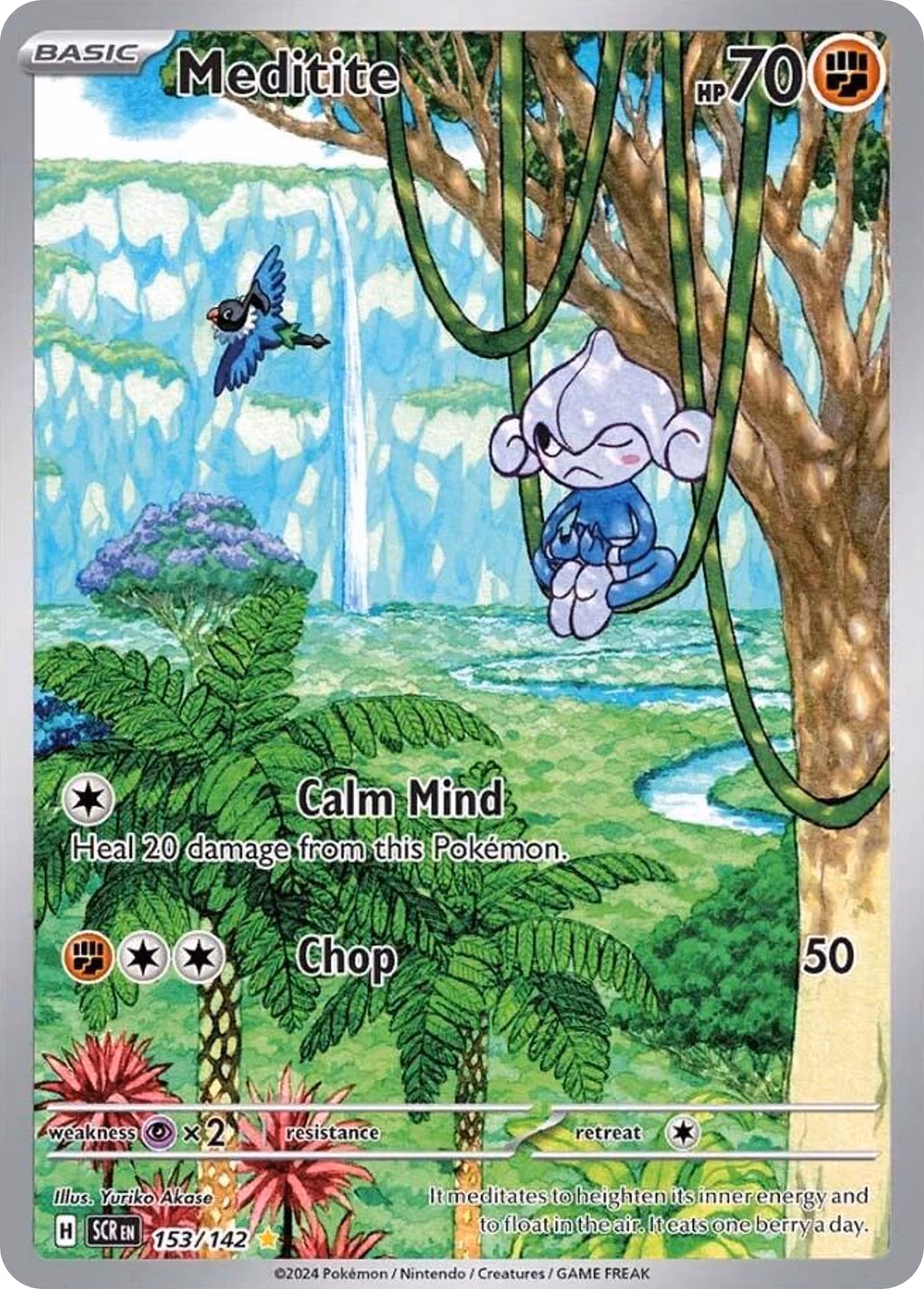 Meditite
