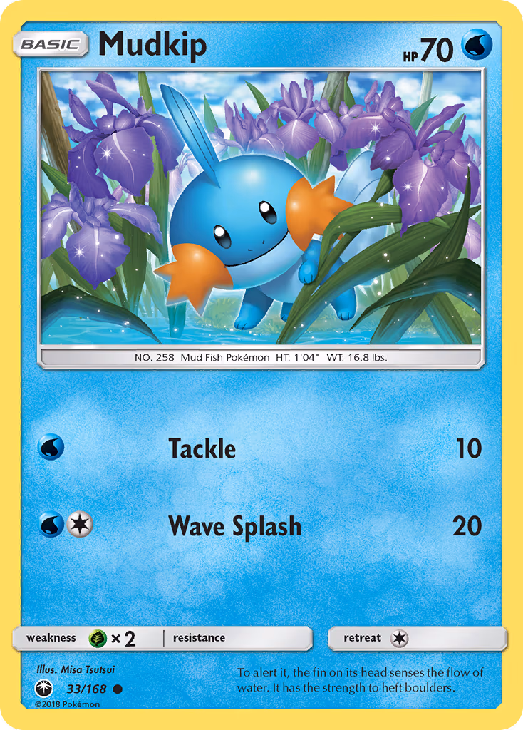 Mudkip