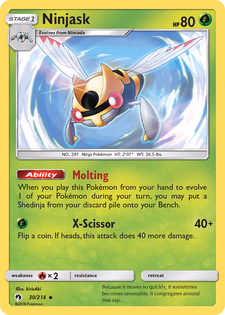 Ninjask