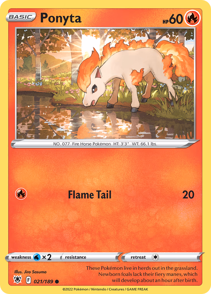 Ponyta