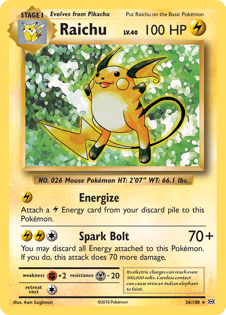 Raichu - Holo Rare (36/108)