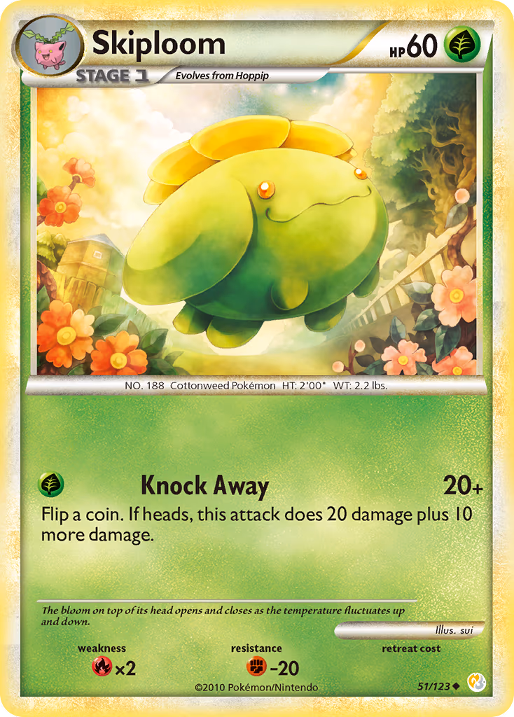 Skiploom