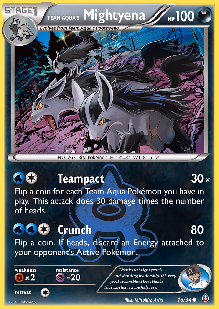 Team Aqua's Mightyena