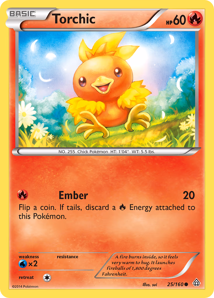 Torchic