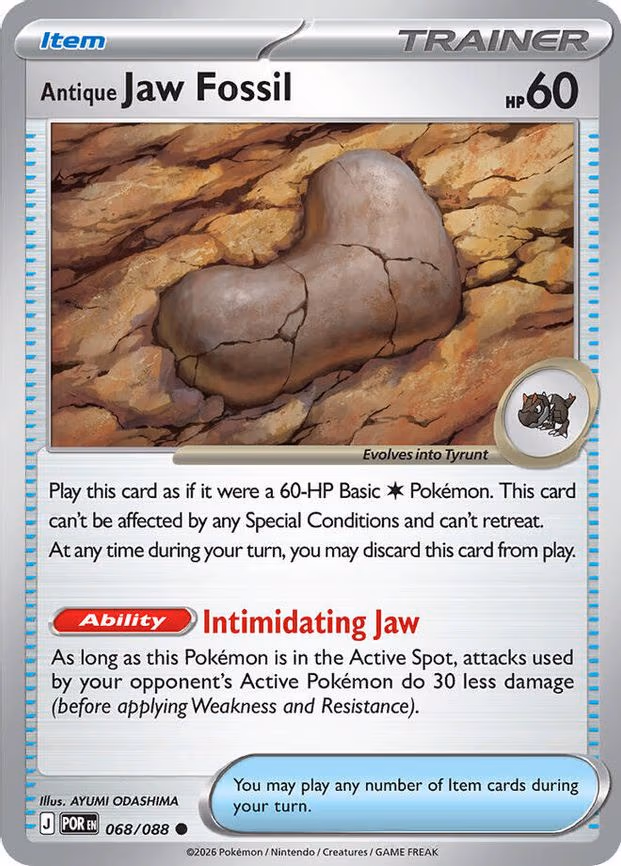 Antique Jaw Fossil