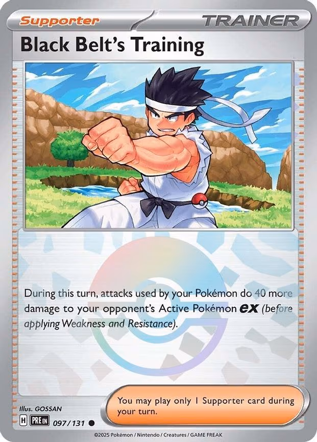 Black Belt's Training - 097/131 (Poke Ball Pattern)
