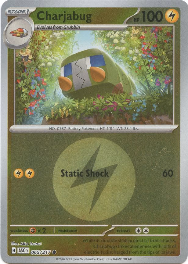 Charjabug (Energy Symbol Pattern) - Common (065/217)