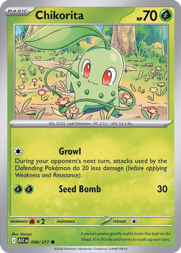 Chikorita