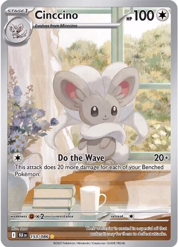 Cinccino