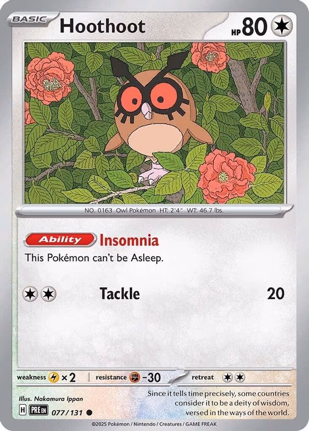 Hoothoot