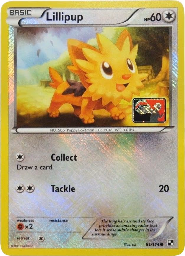 Lillipup